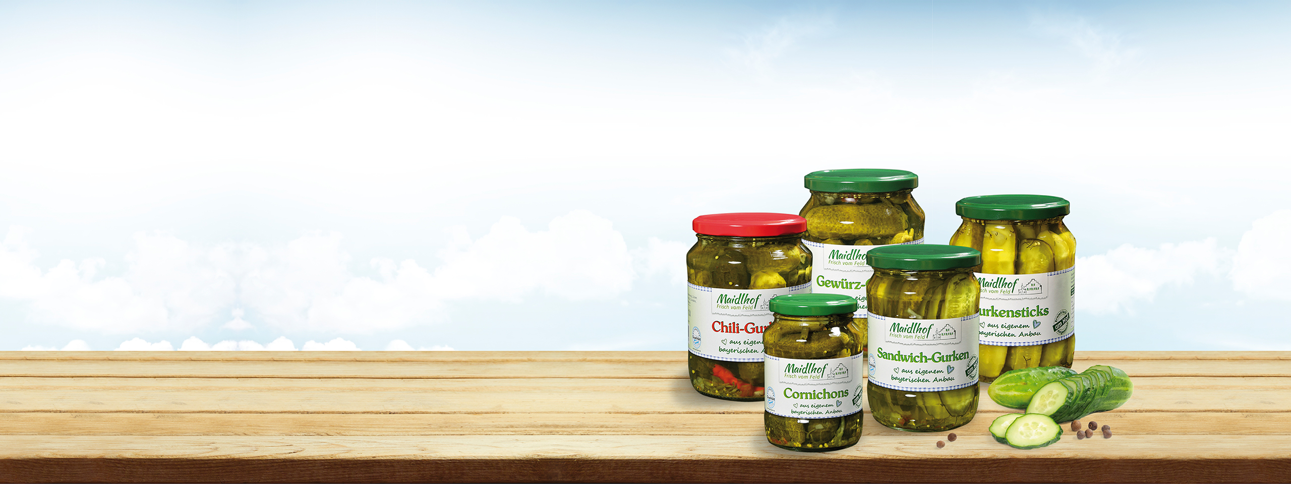 Maidlhof Gemüse Gurken Frisch vom Feld Wannersdorf Eichendorf Private